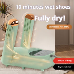 Smart Shoes Dryer